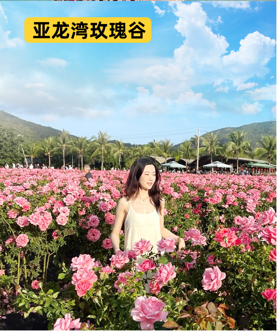 海天福地jpg_13